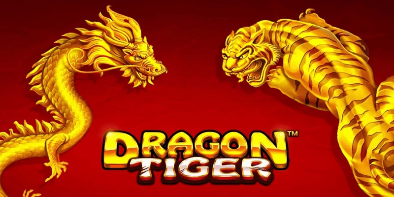 Siêu phẩm đánh Dragon Tiger hấp dẫn tại điểm giải trí