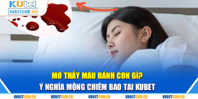 Mơ Thấy Máu Đánh Con Gì